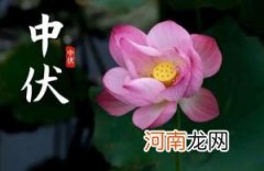 2022年中伏是十天还是二十天