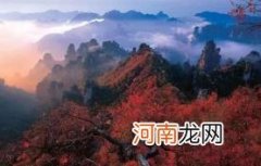 张家界自由行好还是跟团