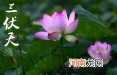 2022三伏天最热是哪个伏天