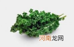 羽衣甘蓝叶可以生吃吗