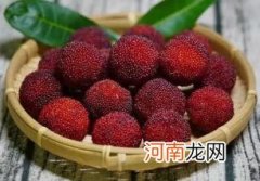 杨梅冻着好还是不冻好