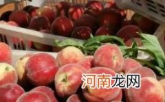 血桃是甜的还是酸的