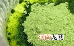 羽衣甘蓝粉喝的我便秘了怎么回事