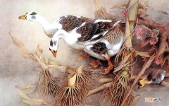 哪些食物即降血糖血脂又降高血压,而且也有营养 八种食物降血糖表格