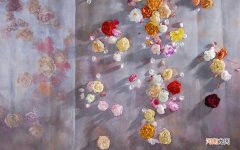腰 硬膜 外 麻醉 和 腰麻 一样 吗 - 专家 说  什么是麻醉药品 医院麻醉药的管理