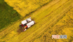 2022秋分到了是不是就冷了