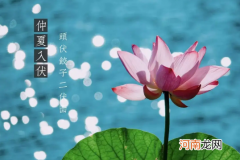 三伏天吹风扇好还是空调好