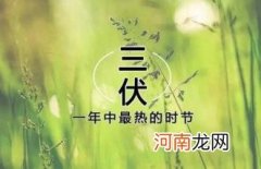 三伏天晒背是要一直晒还是只晒一两天