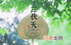 2022年三伏天有闰伏吗