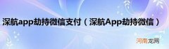 深航App劫持微信  深航app劫持微信支付