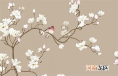 2023本命年运气为什么差 怎么化解