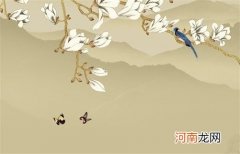 2023年本命年是什么兔 2023年属虎的本命年好不好