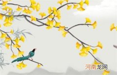 2023本命年兔年可以建房吗 如何顺利转运