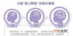 宝宝大脑发育的黄金阶段介绍 婴儿大脑发育的三个黄金阶段