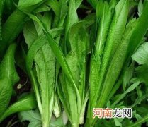 怀孕期间睡眠差怎么办 孕妇睡眠不好怎样调理