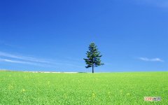玫娇莎瘦鼻精油能让鼻孔变小吗？多少钱 怎样让鼻孔变小