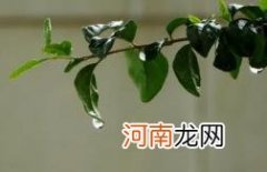 2022高中军训下雨会停止军训吗