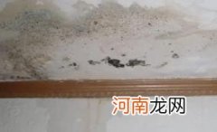 家里漏水水费1000多我该如何处理