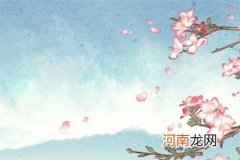 2023年百年难遇的八字 兔年特殊的八字