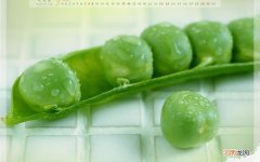 汽车保养注意什么 汽车平时注意哪些保养