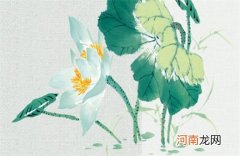 87女兔2023年属兔百年难遇 87年属兔一生转折点