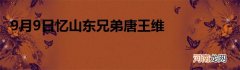9月9日忆山东兄弟唐王维