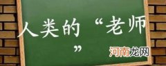 人类的老师有哪些动物有几种