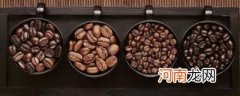 咖啡豆品种