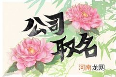 霸气公司取名2023年 精选招财名字