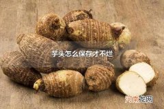芋头怎么保存才不烂 保存芋头的注意事项