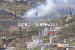 清明节坟上的杂草可去除吗? 清明节上坟的基本流程