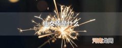 仙女棒是什么