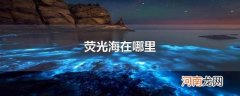 荧光海在哪里