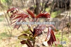 制作香椿之前先焯水更健康吗 香椿有哪些种类