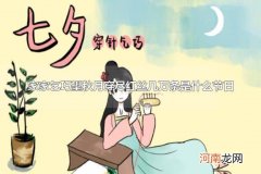 家家乞巧望秋月穿尽红丝几万条是什么节日 描写七夕的诗句还有什么