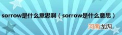 sorrow是什么意思 sorrow是什么意思啊