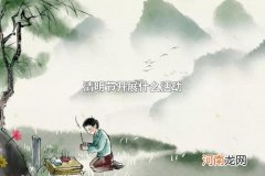 清明节开展什么活动 清明节都会吃什么
