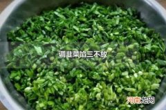 调韭菜馅三不放 韭菜馅饺子放葱姜蒜吗