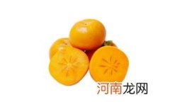 脆柿子的功效与作用及副作用