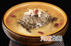 甲鱼汤怎么炖补肾效果好