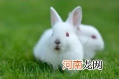 2023年是长流水命还是天上水命