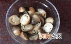 草菇不能和什么一起吃