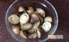 草菇要煮多久可以吃