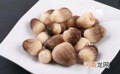 草菇应该怎么吃呢