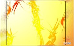 爆炒扇贝和生蚝的做法 爆炒北极贝的做法大全