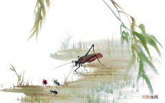 油性皮肤的女士怎样祛痘比较有效 皇冠姑娘去除痤疮p15视频