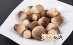 草菇能放冰箱吗