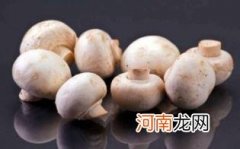 吃草菇要注意什么