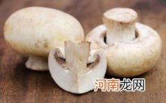 草菇的食用方法