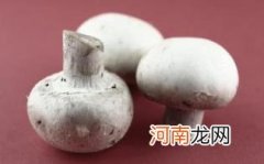 新鲜的草菇怎么保存